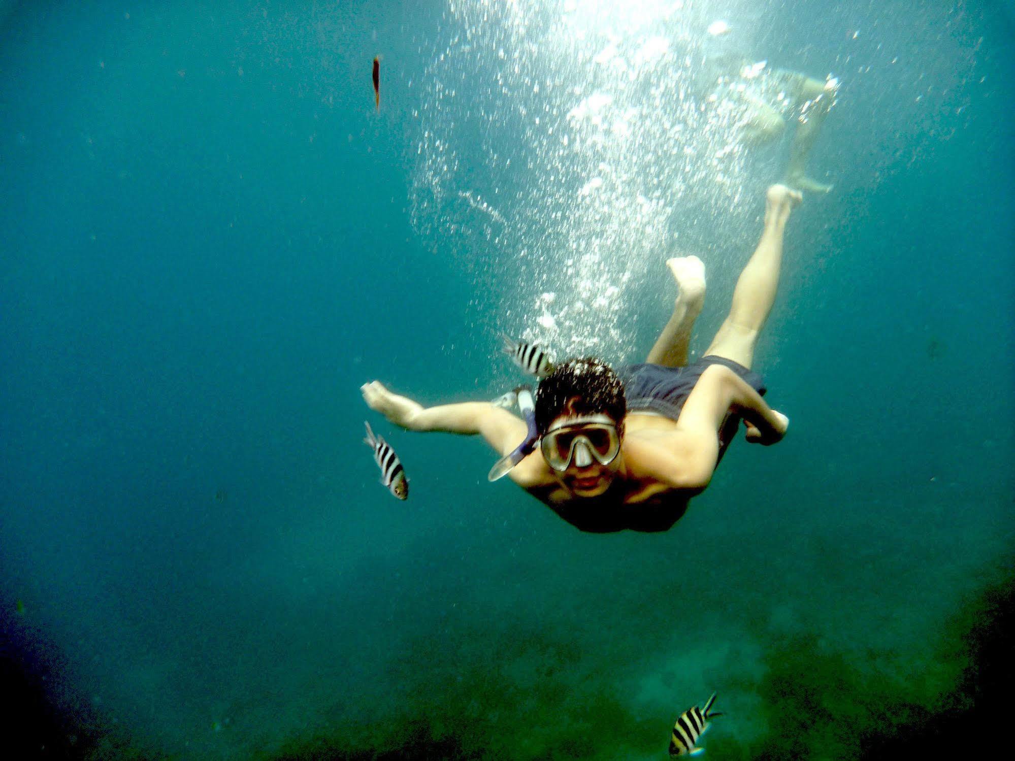 Majika'S Island Resort Apo Island Екстериор снимка